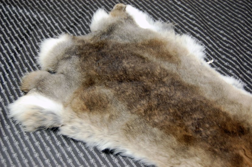 シェアードラビット原反　ゴマ(242)画像