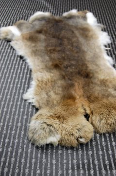 シェアードラビット原反　ゴマ(242)画像