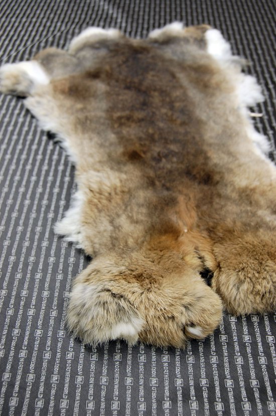 シェアードラビット原反　ゴマ(242)画像