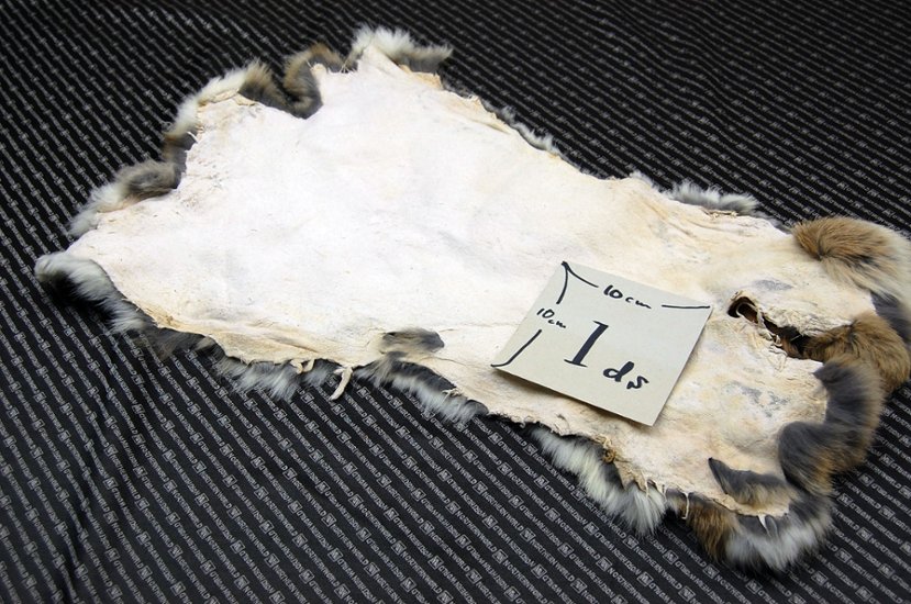 シェアードラビット原反　ゴマ(242)画像