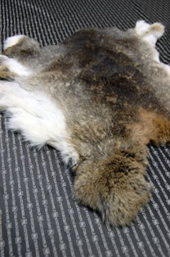 シェアードラビット原反　ゴマ(243)画像