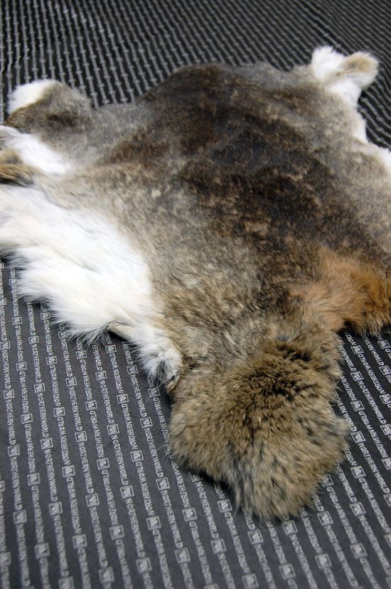 シェアードラビット原反　ゴマ(243)画像