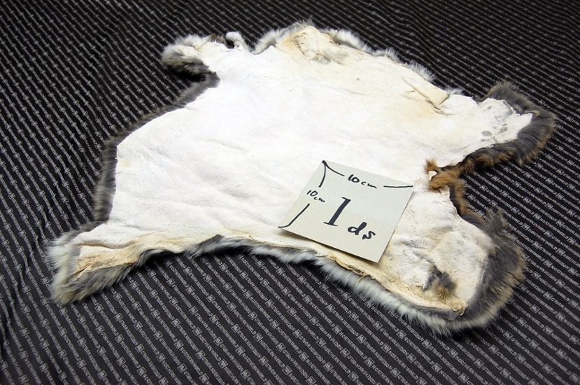 シェアードラビット原反　ゴマ(243)画像