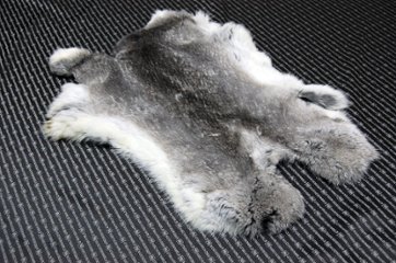 シェアードラビット原反　チンチラ(244)の画像