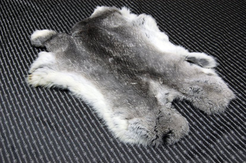 シェアードラビット原反　チンチラ(244)画像