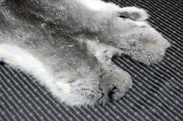 シェアードラビット原反　チンチラ(244)画像