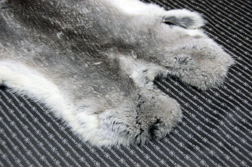 シェアードラビット原反　チンチラ(244)画像