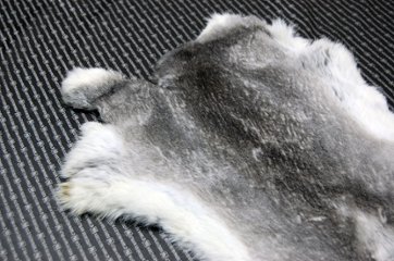 シェアードラビット原反　チンチラ(244)画像