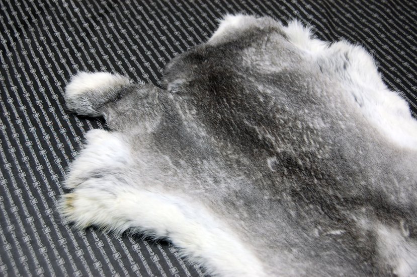 シェアードラビット原反　チンチラ(244)画像