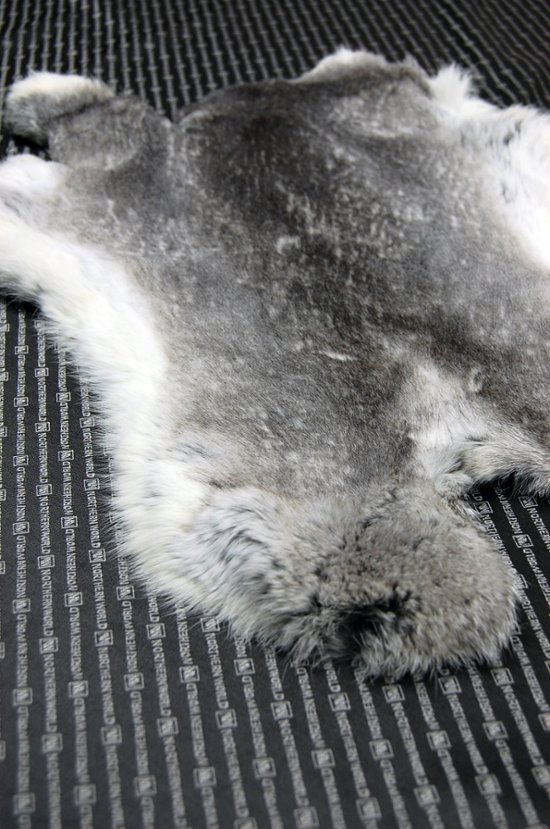 シェアードラビット原反　チンチラ(244)画像