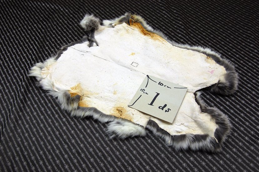 シェアードラビット原反　チンチラ(244)画像