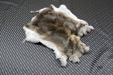 レッキス原反　チンチラ(245)の画像