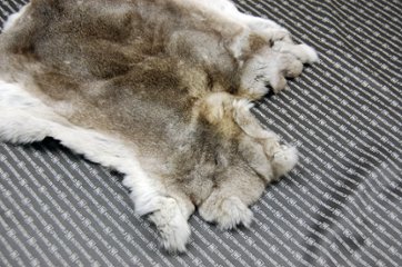 レッキス原反　チンチラ(245)画像