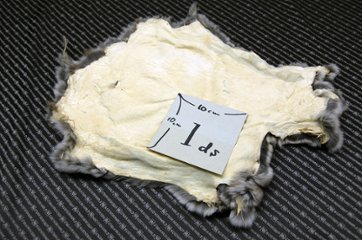 レッキス原反　チンチラ(245)画像