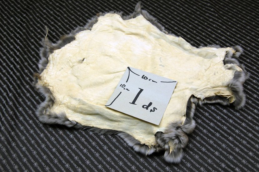 レッキス原反　チンチラ(245)画像