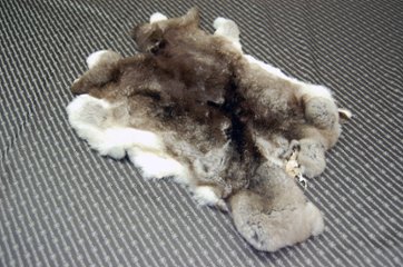 レッキス原反　チンチラ(246)の画像