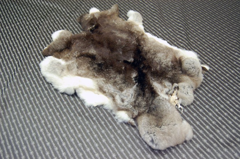 レッキス原反　チンチラ(246)画像