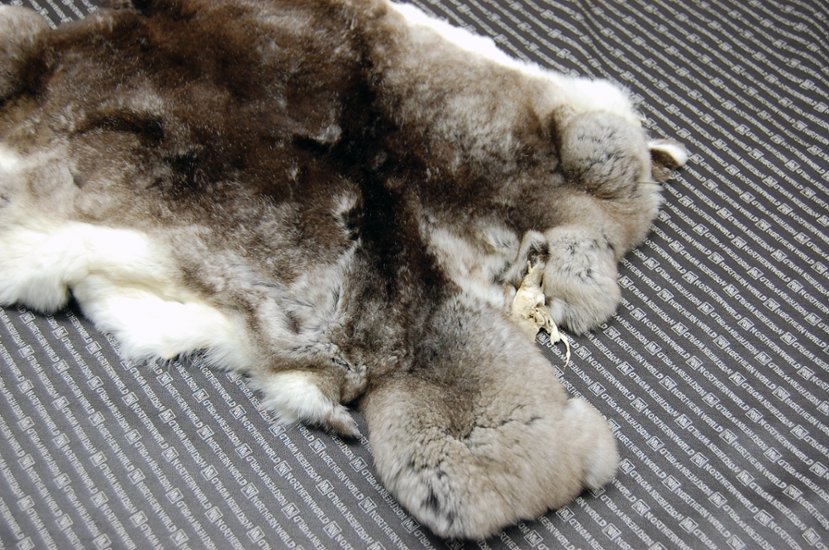 レッキス原反　チンチラ(246)画像