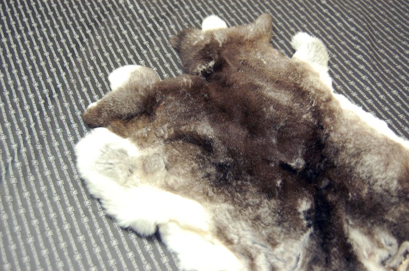 レッキス原反　チンチラ(246)画像