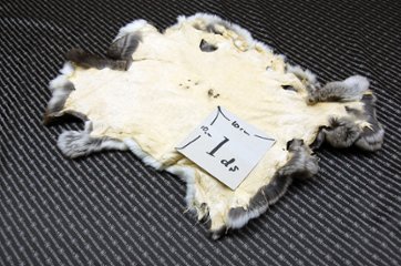 レッキス原反　チンチラ(246)画像