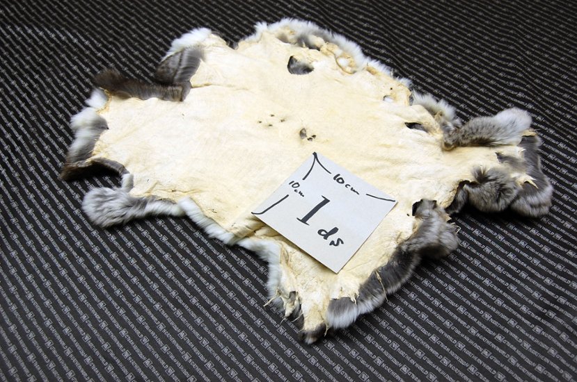 レッキス原反　チンチラ(246)画像