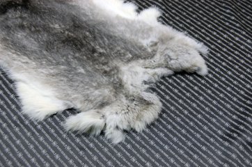 シェアードラビット原反　チンチラ(247)画像