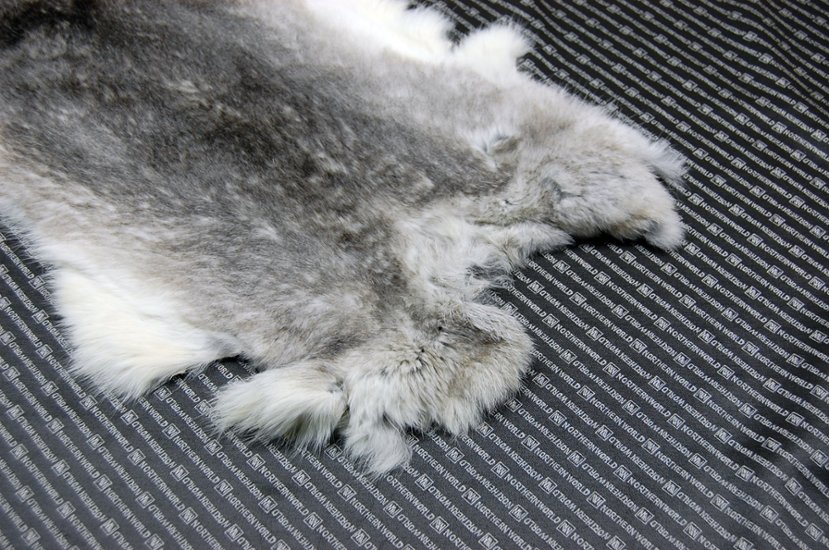 シェアードラビット原反　チンチラ(247)画像