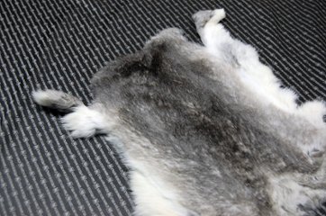 シェアードラビット原反　チンチラ(247)画像