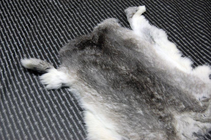 シェアードラビット原反　チンチラ(247)画像