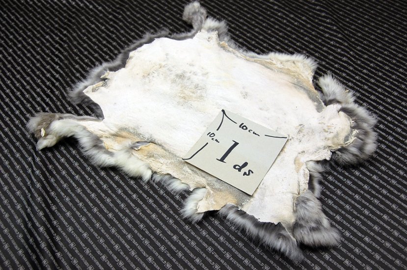 シェアードラビット原反　チンチラ(247)画像