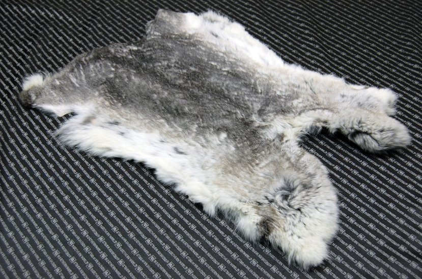 シェアードラビット原反　チンチラ(248)画像