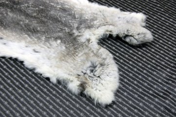 シェアードラビット原反　チンチラ(248)画像