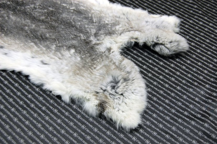 シェアードラビット原反　チンチラ(248)画像