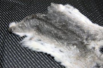 シェアードラビット原反　チンチラ(248)画像