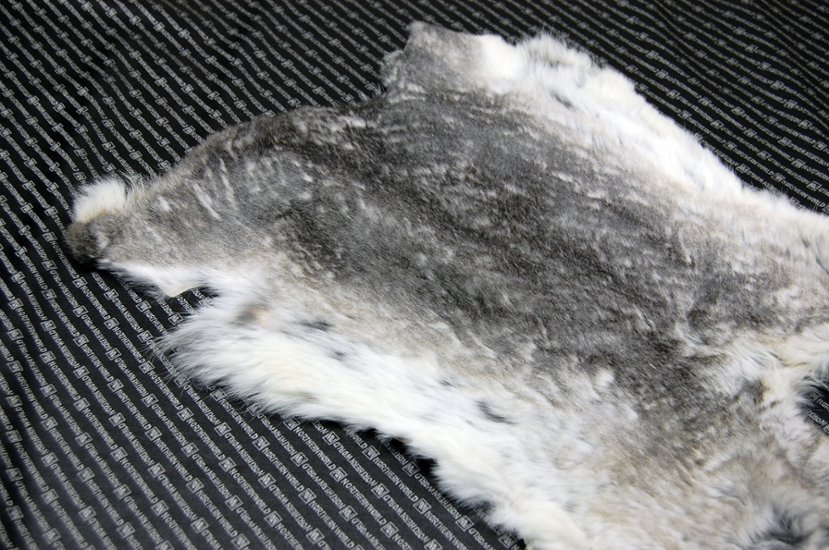 シェアードラビット原反　チンチラ(248)画像