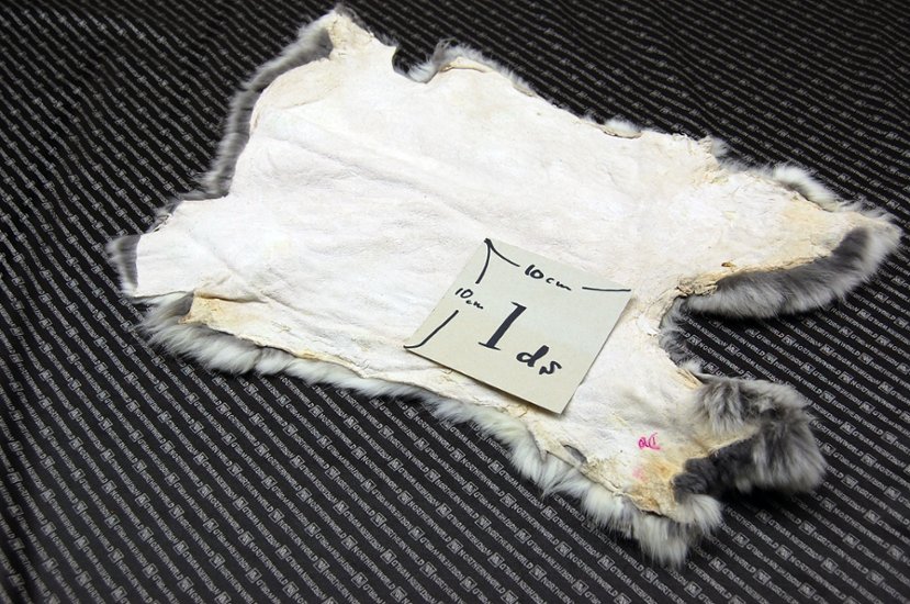 シェアードラビット原反　チンチラ(248)画像