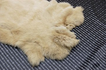 ラビット原反　ベージュ(249)画像