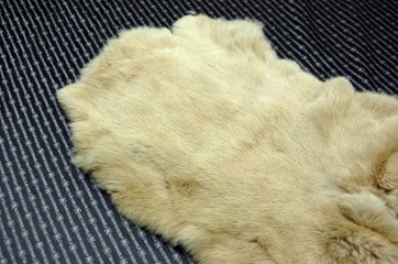 ラビット原反　ベージュ(249)画像