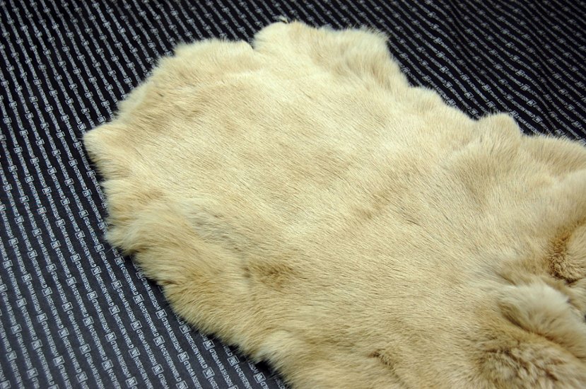 ラビット原反　ベージュ(249)画像