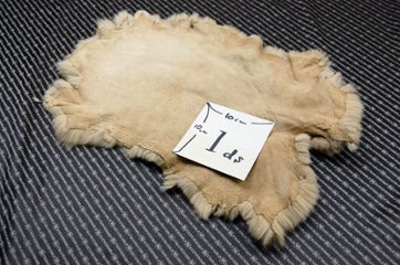 ラビット原反　ベージュ(249)画像