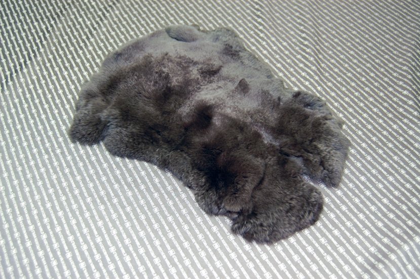 レッキス原反　ダークブラウン(250)画像