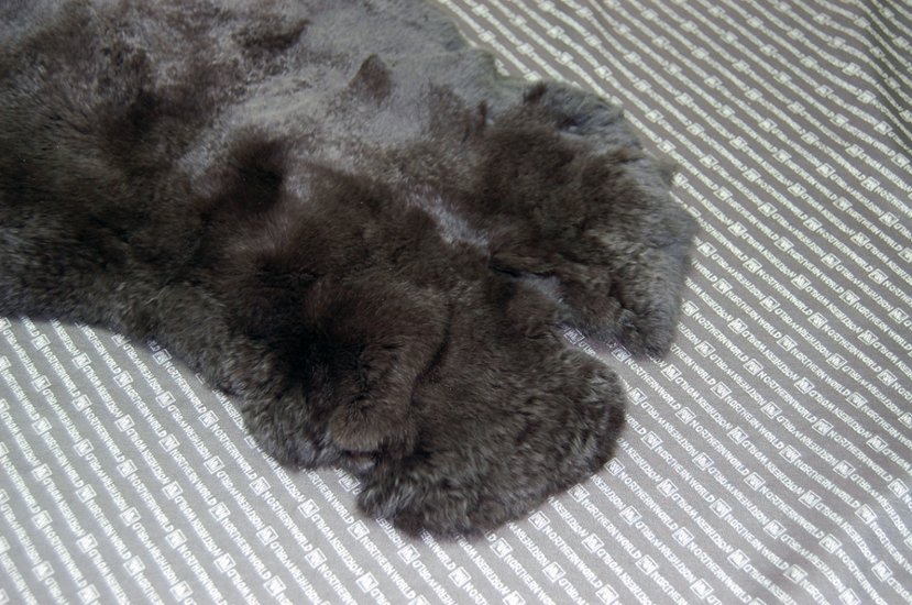 レッキス原反　ダークブラウン(250)画像