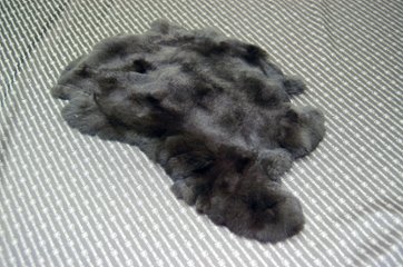 レッキス原反　ダークブラウン(251)の画像