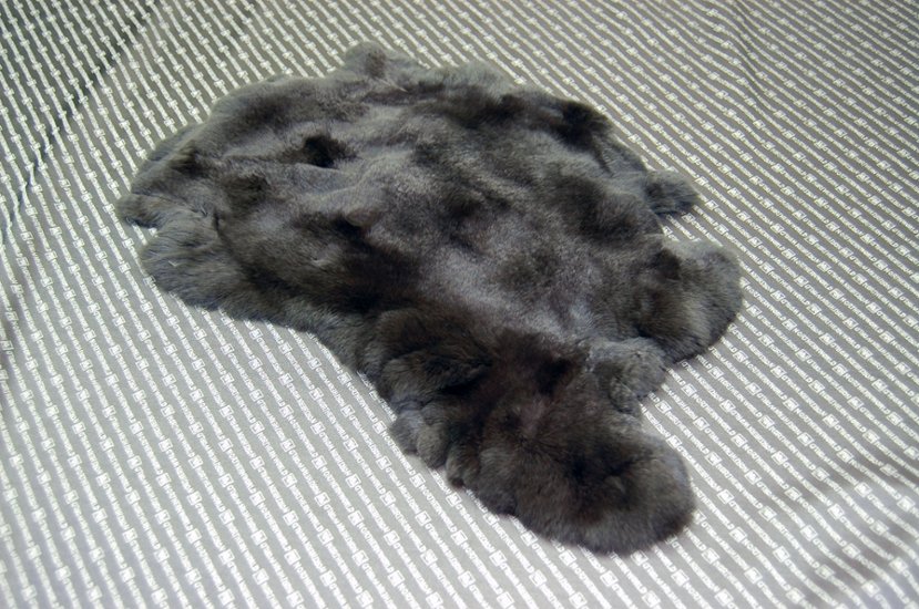 レッキス原反　ダークブラウン(251)画像