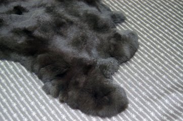 レッキス原反　ダークブラウン(251)画像