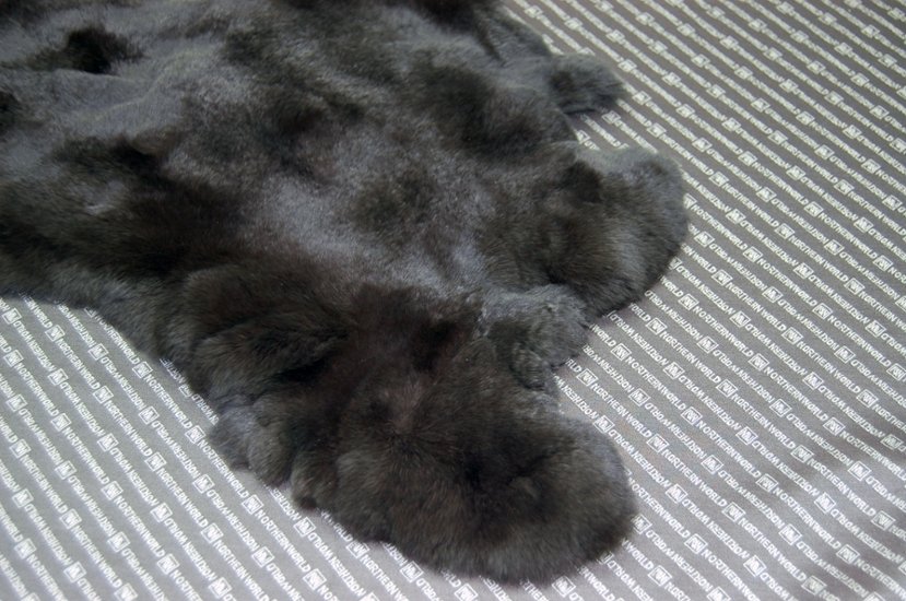 レッキス原反　ダークブラウン(251)画像