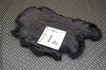 レッキス原反　ダークブラウン(251)画像