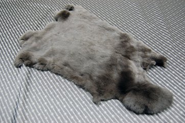 レッキス原反　ダークブラウン(253)の画像