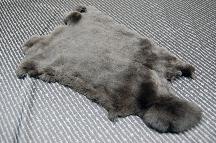 レッキス原反　ダークブラウン(253)画像