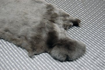 レッキス原反　ダークブラウン(253)画像